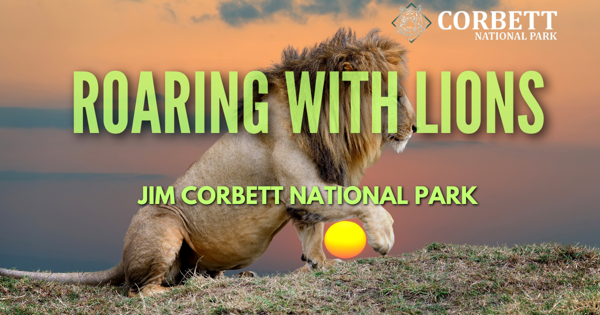 A panoramic view of Jim Corbett National Park showing dense Sal forests, a flowing river, and a wild elephant walking in its natural habitat.